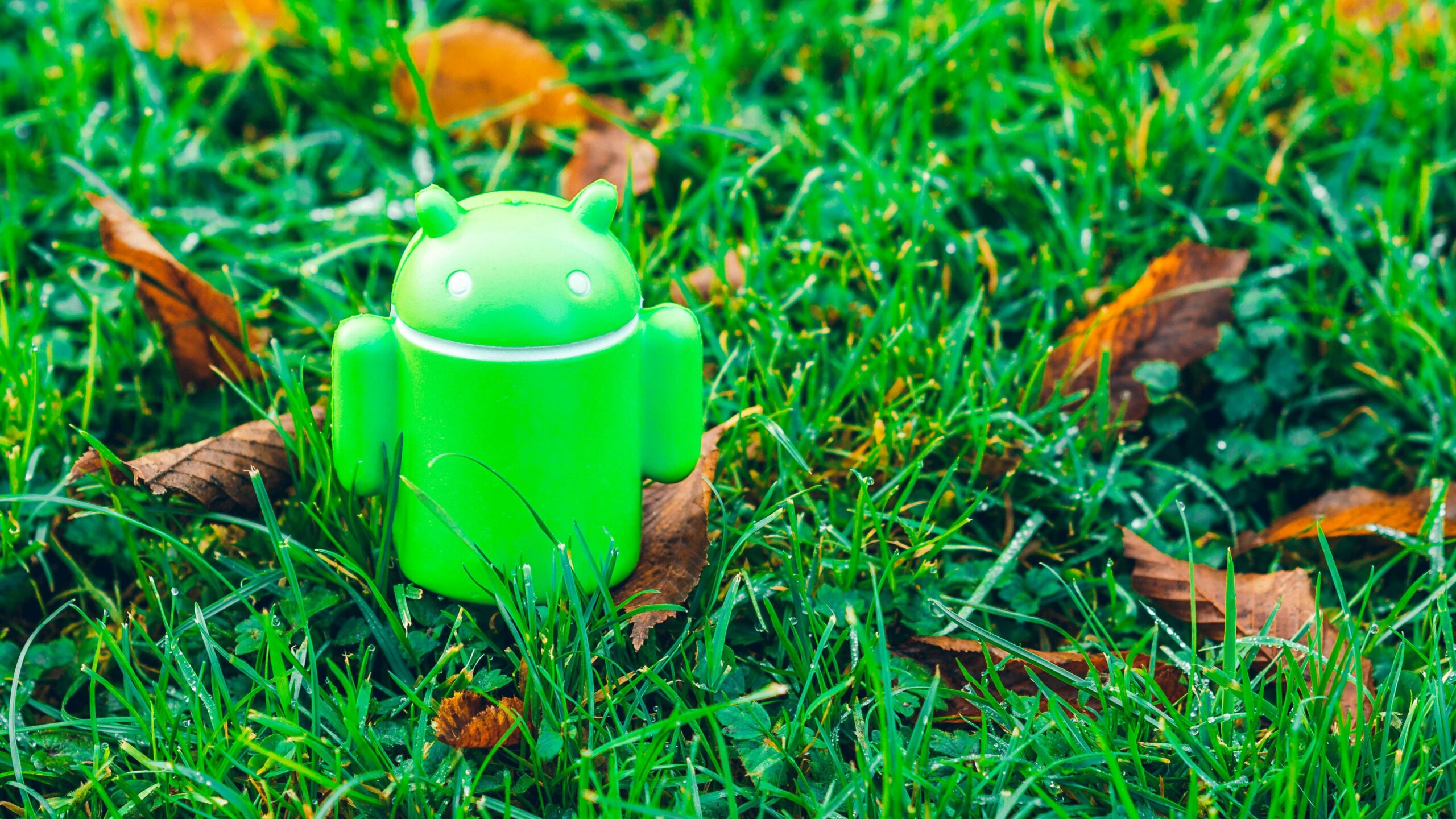 ¿Qué es QPR de Android?