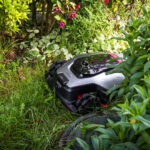 Los mejores robots cortacésped de 2026: mantenga su jardín ordenado de forma inteligente