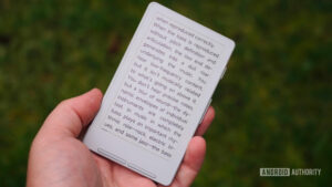 Renuncié a Kindles por este lector electrónico sin DRM y nunca volveré