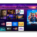 Fox acaba de hacer una apuesta de 22 mil millones de dólares por la pantalla de su televisor al comprar Roku