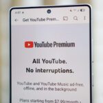 Peacock llega a YouTube Premium como su último beneficio de suscripción